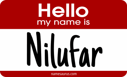 Hello my name is Nilufar png download