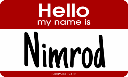 Hello my name is Nimrod png download