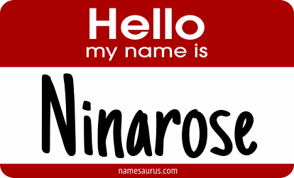 Hello my name is Ninarose png download
