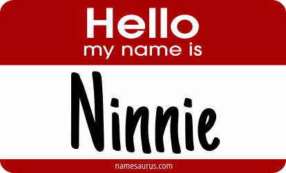 Hello my name is Ninnie png download