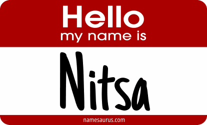 Hello my name is Nitsa png download