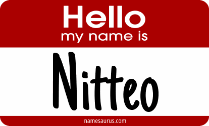 Hello my name is Nitteo png download