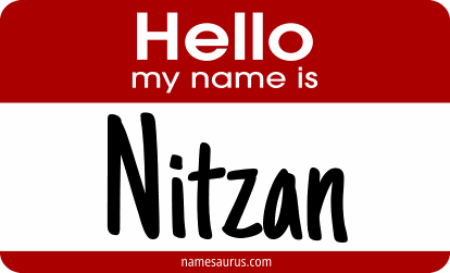 Hello my name is Nitzan png download