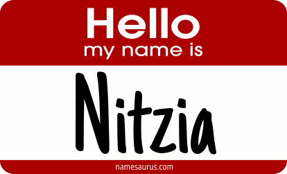 Hello my name is Nitzia png download