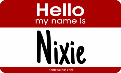 Hello my name is Nixie png download