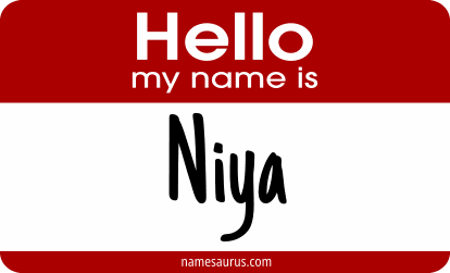 Hello my name is Niya png download
