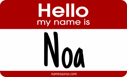 Hello my name is Noa png download