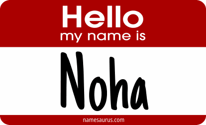 Hello my name is Noha png download