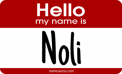 Hello my name is Noli png download