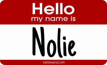 Hello my name is Nolie png download