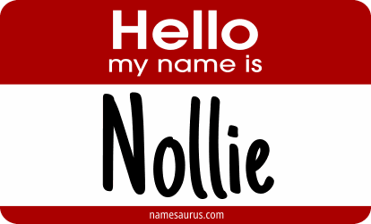 Hello my name is Nollie png download