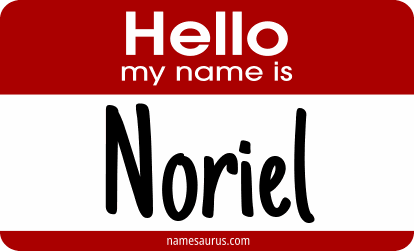 Hello my name is Noriel png download