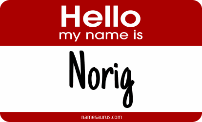 Hello my name is Norig png download