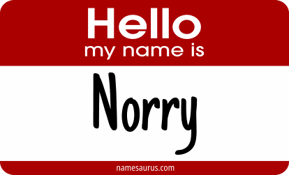 Hello my name is Norry png download