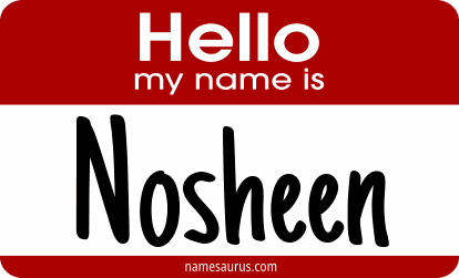 Hello my name is Nosheen png download