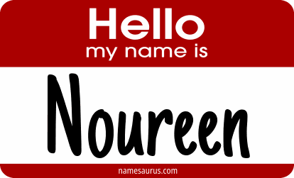 Hello my name is Noureen png download