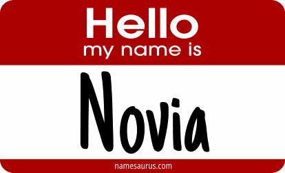 Hello my name is Novia png download