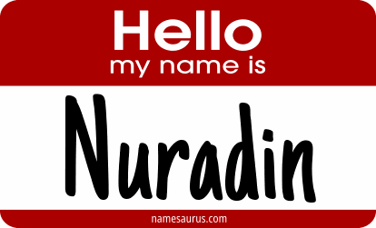 Hello my name is Nuradin png download
