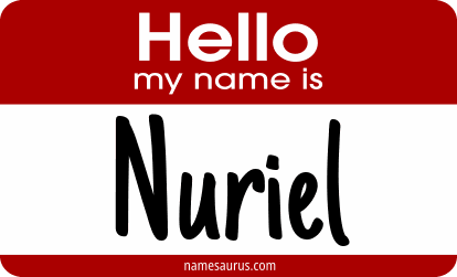 Hello my name is Nuriel png download