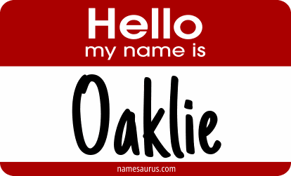 Hello my name is Oaklie png download