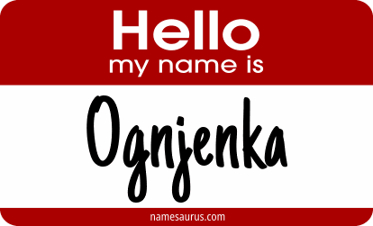 Hello my name is Ognjenka png download