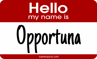 Hello my name is Opportuna png download