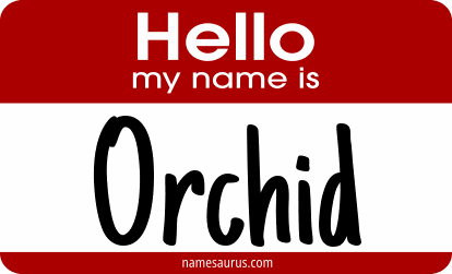 Hello my name is Orchid png download