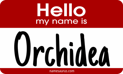 Hello my name is Orchidea png download