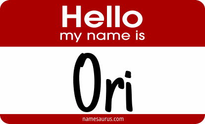 Hello my name is Ori png download