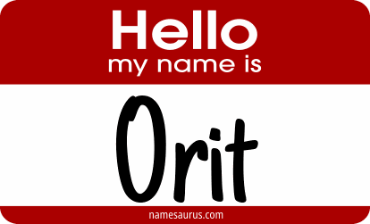 Hello my name is Orit png download
