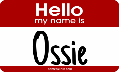 Hello my name is Ossie png download