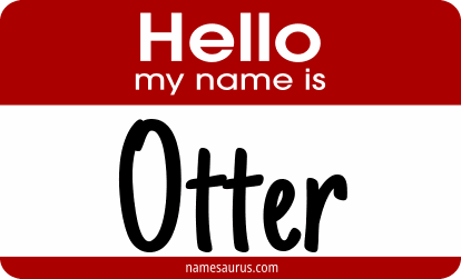 Hello my name is Otter png download