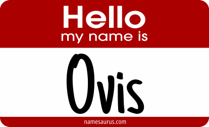 Hello my name is Ovis png download
