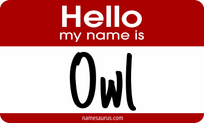 Hello my name is Owl png download