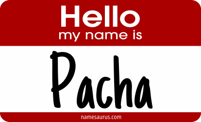 Hello my name is Pacha png download