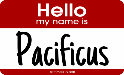 Hello my name is Pacificus png download