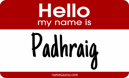 Hello my name is Padhraig png download