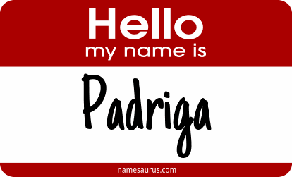Hello my name is Padriga png download