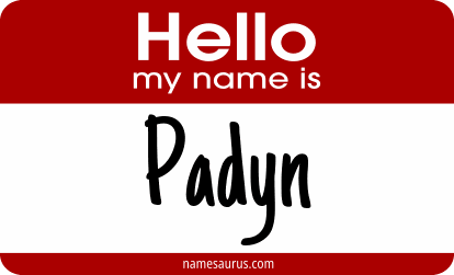 Hello my name is Padyn png download