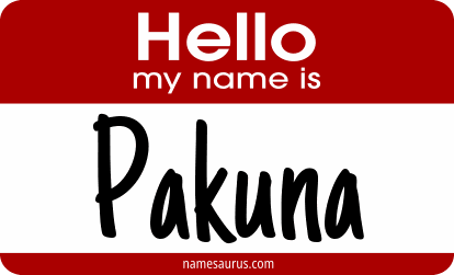 Hello my name is Pakuna png download