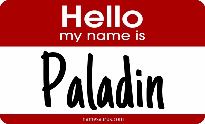 Hello my name is Paladin png download