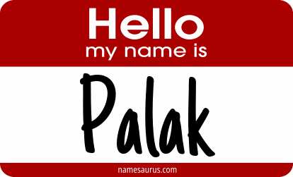 Hello my name is Palak png download