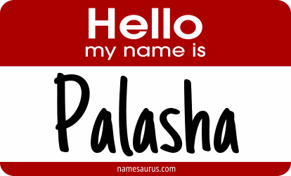 Hello my name is Palasha png download