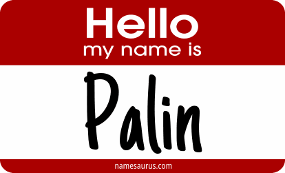 Hello my name is Palin png download