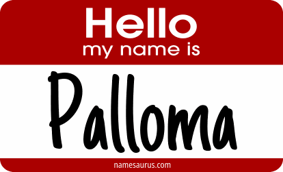 Hello my name is Palloma png download