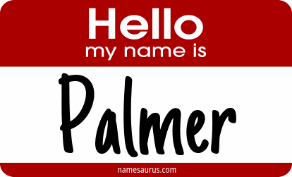 Hello my name is Palmer png download