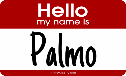 Hello my name is Palmo png download