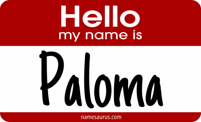 Hello my name is Paloma png download