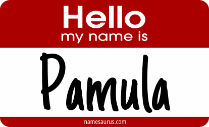 Hello my name is Pamula png download