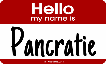 Hello my name is Pancratie png download